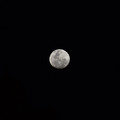 moon_44780386154_o.jpg