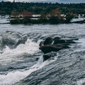 cataratas-del-iguaz-misiones-argentina_41120702710_o.jpg