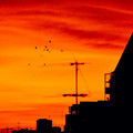 sunset--ciudad-autnoma-de-buenos-aires-argentina_42471056455_o.jpg